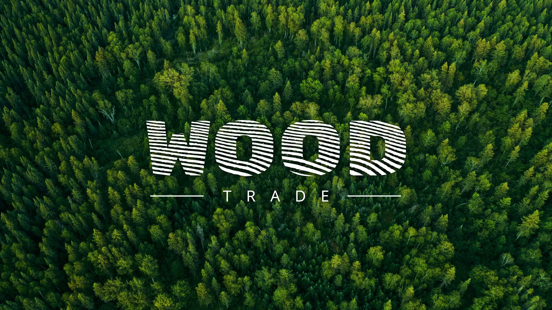 Разработка интернет-магазина компании «Wood Trade» в Юрьевце